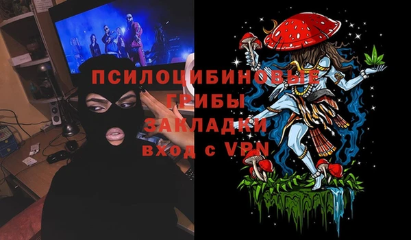 ешки Касимов